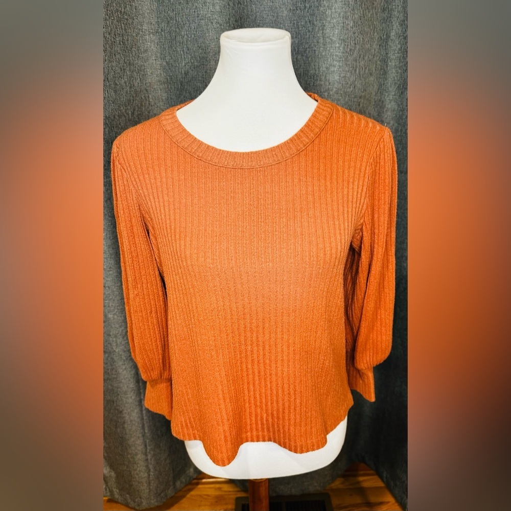 Madewell Rust Ribbed Knit Sweater Top | Size M